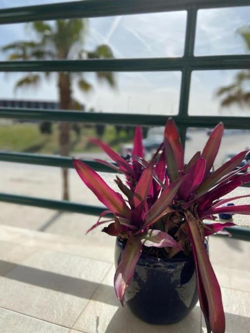 קוסטה דה קפאריקה Atlantic Lodge, 1ª Linha De Praia! מראה חיצוני תמונה